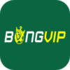 VnBongVip Net – Vé Cược May Mắn 1 Tỷ VNĐ Cho Mùa Euro 2024