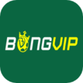 VnBongVip Net – Vé Cược May Mắn 1 Tỷ VNĐ Cho Mùa Euro 2024